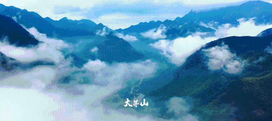 韩足晚报（2024.1.22）——金承奎今日回国，尚武门神金埈弘增援